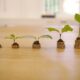 Deka Active EUR High Yield UCITS ETF förvaltas aktivt och investerar i internationella eurodenominerade företagsobligationer från högavkastningssegmentet baserat på en kvantitativ investeringsmetod. Fonden använder en faktormetod.