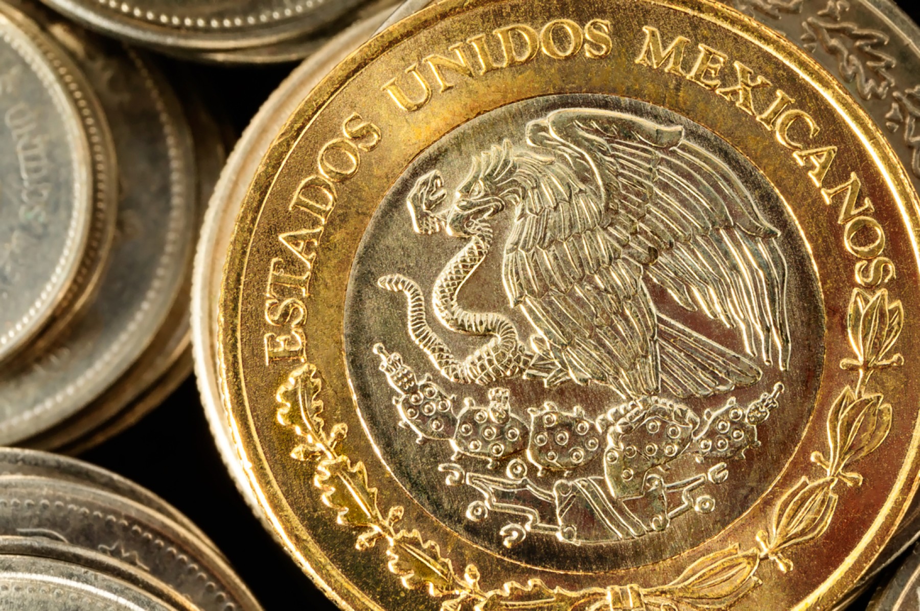Den mexikanska peson på lägsta nivån mot dollarn någonsin
