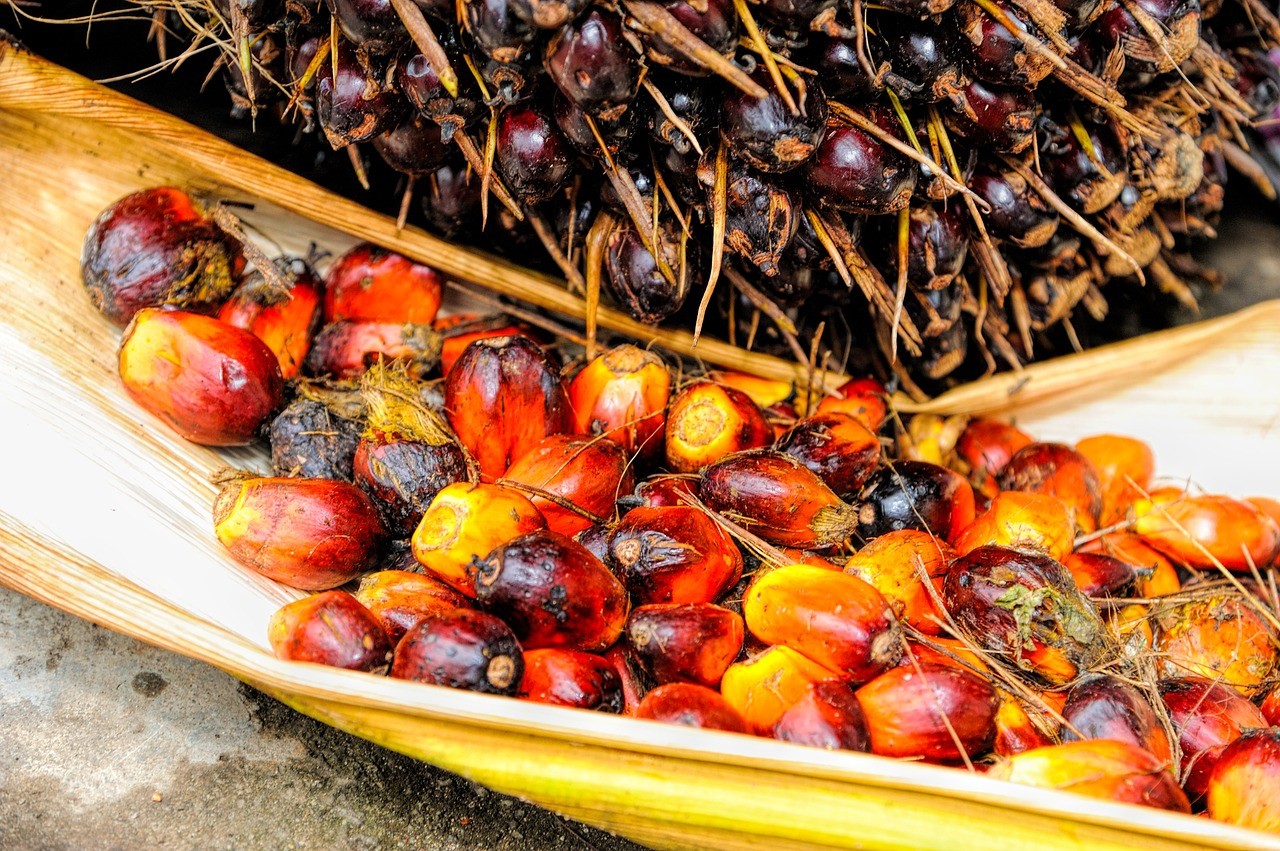 Kina köper 1,7 miljoner ton palmolja från Malaysia