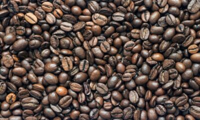 Brasiliens kaffeexport lider av brist på containers