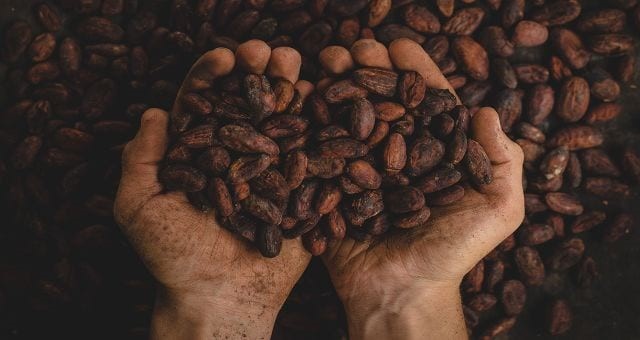 Östeuropa ny marknad för kakaoexportörer