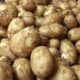 Nu kan du handla potatis på börsen