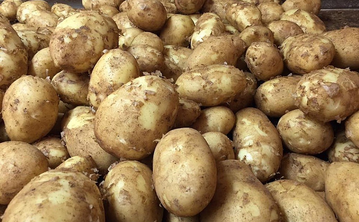 Nu kan du handla potatis på börsen