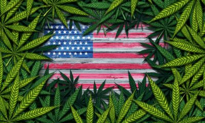 Virginia är den sextonde amerikanska staten som har antagit en lagstiftning om att legalisera marijuana för vuxna, även om försäljningen inte börja