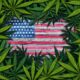 Virginia är den sextonde amerikanska staten som har antagit en lagstiftning om att legalisera marijuana för vuxna, även om försäljningen inte börja