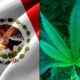 Mexiko röstar om att legalisera marijuana nästa vecka