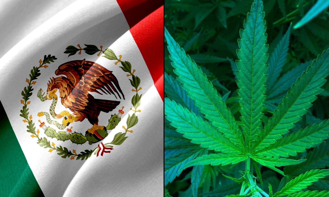 Mexiko röstar om att legalisera marijuana nästa vecka