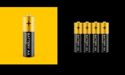 L&G Battery Value-Chain UCITS ETF (BATE ETF) syftar till att spåra resultatet för Solactive Battery Value-Chain Index (”Index”). Denna ETF är fysiskt replikerad och är ackumulerande vilket betyder att den återinvesterar den erhållna utdelningen.