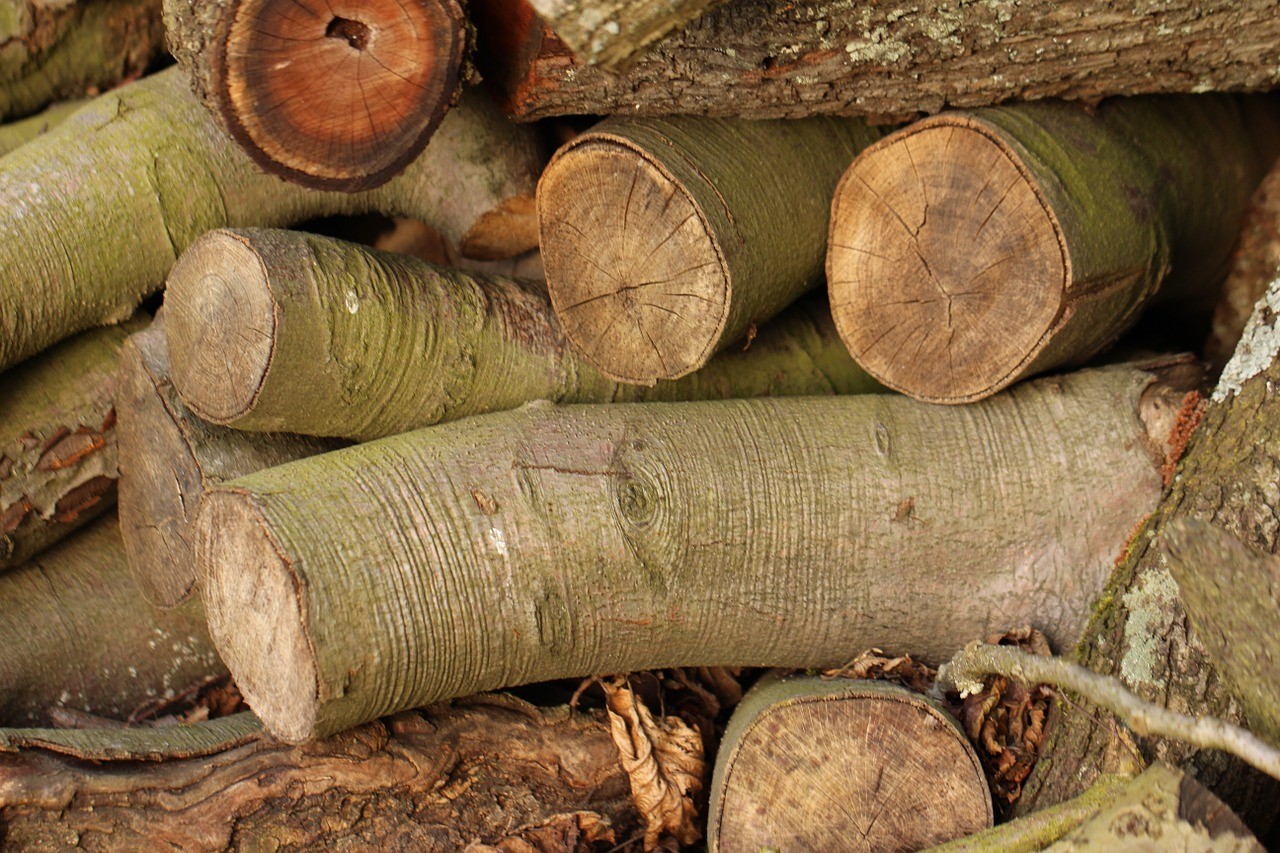 Invesco MSCI Global Timber ETF (NYSEArca: CUT) spårar ett marknadsviktat index över globala träföretag över hela marknadsspektrumet. Denna börshandlade fond