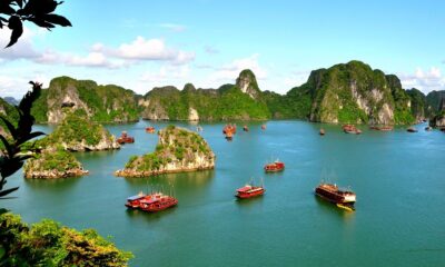 Vietnams ekonomi stärks, vilket borde sätta tillgångar som VanEck Vectors Vietnam ETF (VNM) i fokus. "En ökande amerikansk ekonomi på grund av massiv stimulans och uppdämd efterfrågan kommer att gynna exportörer i Asien, med Vietnam som får den största stormen", säger en artikel i Bloomberg.