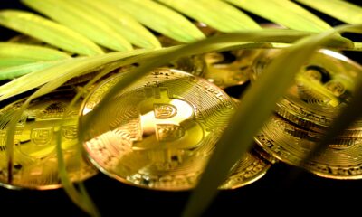 Grayscale Investments, det företag som ligger bakom Bitcoin Investment Trust (OTCQX: GBTC), ofta kallat den enda börshandlade fonden för Bitcoin, skapar fyra nya fonder för kryptovalutor