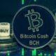 ETC Group lanserar Bitcoin Cash ETP för att tillgodose professionell investerares efterfrågan på digitala tillgångsprodukter. ETC Group