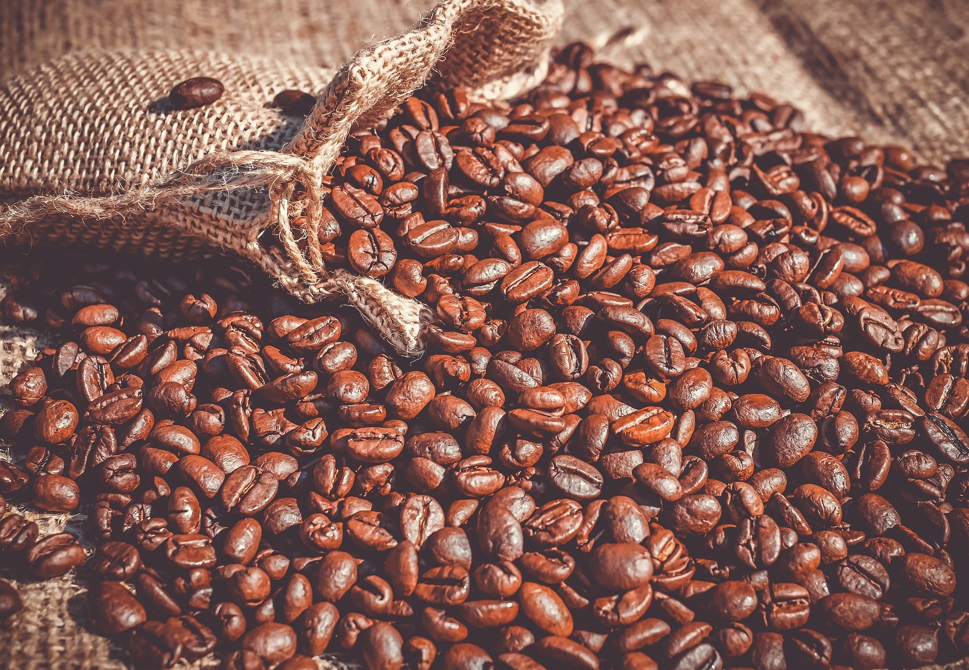 WisdomTree Coffee (OD7B ETC) är utformat för att göra det möjligt för investerare att få en exponering mot investeringar i kaffe genom att spåra Bloomberg Coffee Subindex ("Indexet") och ger en säkerhetsavkastning.