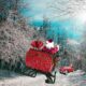 Brooke Thackray, CFP, CIM, Research Analyst, Horizons ETFs Management (Canada) Inc. Every year, investors wait for Santa Claus to come to town. T