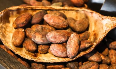 Kakao handlas genom olika finansiella instrument. I den här guiden kommer vi att förklara hur man handlar med kakao på börsen, de olika instrument som handlare har för att spekulera i priset på kakao, inklusive vilka mäklare som erbjuder relaterade terminer, aktier och derivat.