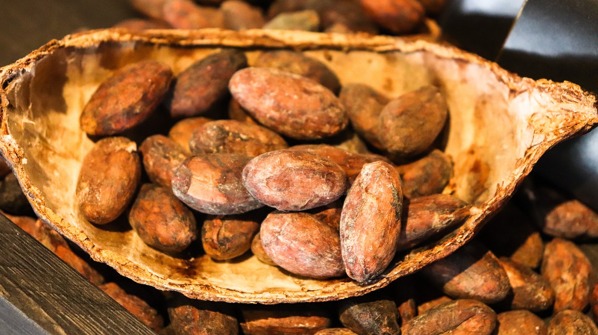 Kakao handlas genom olika finansiella instrument. I den här guiden kommer vi att förklara hur man handlar med kakao på börsen, de olika instrument som handlare har för att spekulera i priset på kakao, inklusive vilka mäklare som erbjuder relaterade terminer, aktier och derivat.