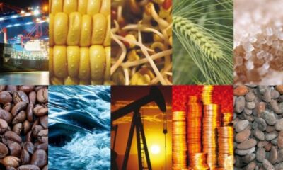 Xtrackers Bloomberg Commodity ex-Agriculture & Livestock Swap UCITS ETF 1C EUR Hedged (DXSM ETF) investerar i en råvarukorg som ger bred tillgång till olika råvaror.