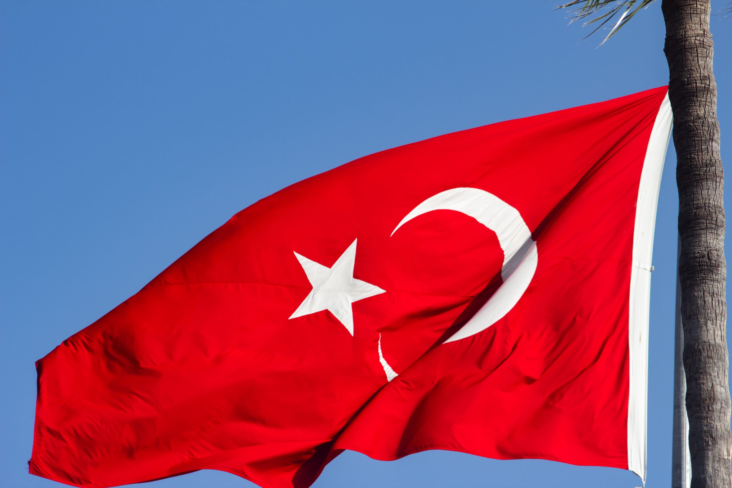 HSBC Asset Management avbröt kort handel med sin turkiska fond tidigare i veckan efter att Borsa Istanbul stoppade handeln med flera företag baserade i regionen som drabbades av en enorm jordbävning i måndags.