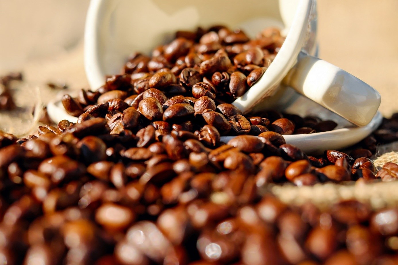 De inhemska kaffepriserna i Vietnam, världens största leverantör av robustabönor, nådde nästan den högsta nivån som Vietnamesiska kaffepriser handlats till på sex månaders under veckan. Rusningen av kaffepriset följer en ökning av globala priser och begränsade tillgångar, medan premierna sjönk i Indonesien när nya bönor började byggas upp.