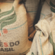 USDA projicerar en global kaffeproduktionen för säsongen 2023/2024 till 174,34 miljoner säckar, vilket motsvarar en tillväxt på 2,5 procent jämfört med föregående cykel. I absoluta tal, ett framsteg på 4,32 miljoner säckar, drivet av arabicas produktionsvinster, särskilt i Brasilien. Till skillnad från arabica måste robusta minska sin produktion. Den förväntade förbättringen för Vietnamskörden är otillräcklig för att kompensera problemen i andra viktiga robusta ursprung som Indonesien och Brasilien. Denna produktionsjustering stöder det stigande priset på robusta kaffe och rallyt i London.