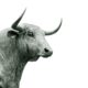 XACT Bull (ETF) är en börshandlad fond med hävstång. Fondens målsättning är att ge fondandelsägaren en daglig avkastning som, före förvaltningsavgifter och andra transaktionskostnader för fonden, motsvarar cirka 150 procent av den dagliga positiva förändringen i OMXS30GI™-index. XACT Bull kan passa den som har en stark tro om positiv utveckling på börsen. Fonden redovisas som artikel 6 i enlighet med SFDR (EU:s förordning 2019/2088 om hållbarhetsrelaterade upplysningar inom den finansiella sektorn).