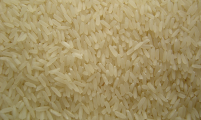 Förra veckan tillät Indien återigen export av icke-basmati vitt ris. En last på 75 000 ton exporterades till Förenade Arabemiraten. Direkt efter att denna nyhet blev offentlig kommunicerades att Indien kommer att sänka priset för export av basmatiris under de kommande dagarna. Beslutet kom efter att mjölnare och handlare klagat över en kraftig nedgång i exportförsäljningen av det aromatiska premiumriskornet.