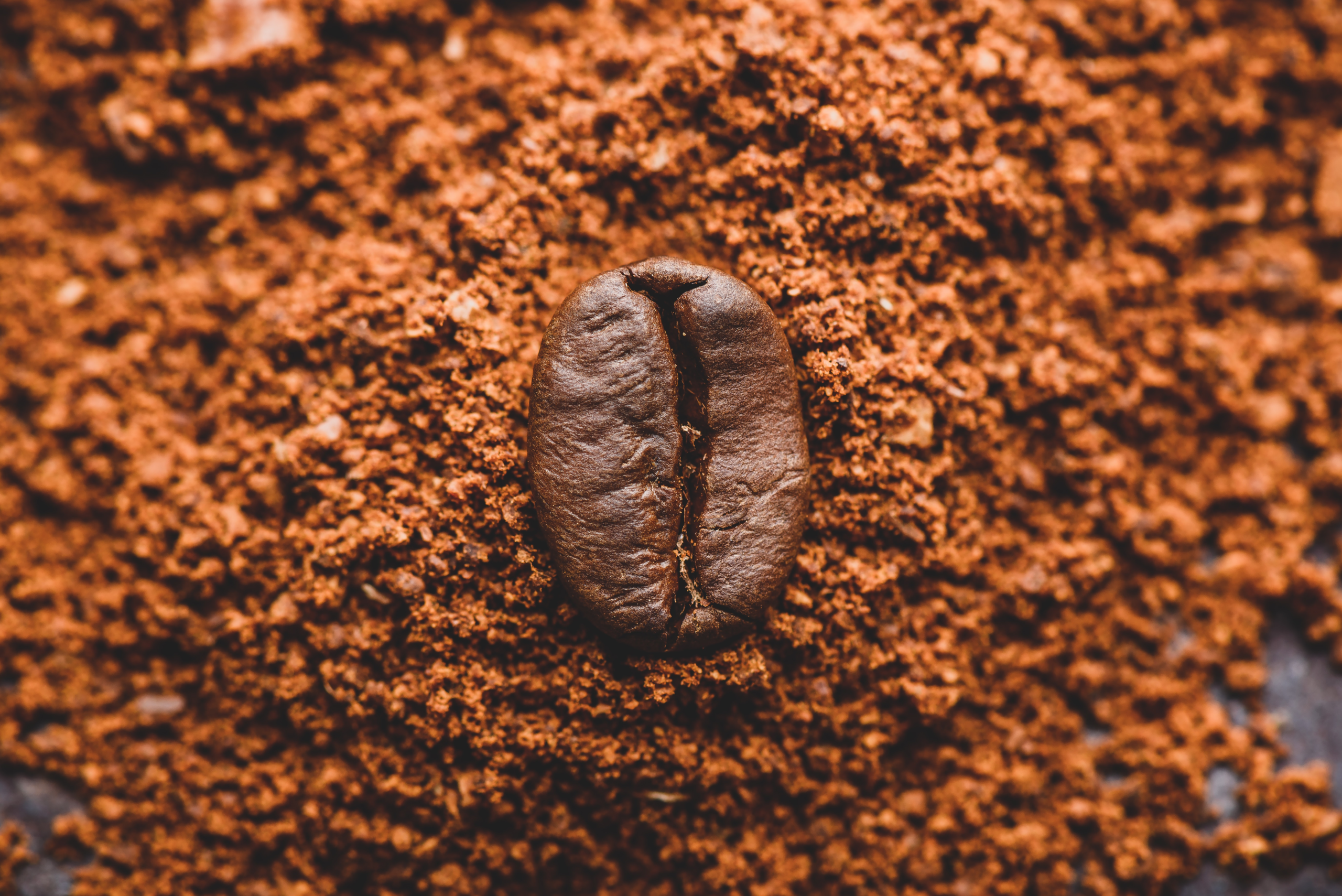 Kaffepriset faller på grund av långa likvidationstryck på grund av prognoser för regn i Brasilien i början av nästa vecka, vilket borde öka markfuktigheten och förbättra kaffeskörden.