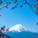 Det enklaste sättet att investera i Japan är att investera på hela den japanska aktiemarknaden genom ett brett marknadsindex. Detta kan göras till låg kostnad genom att använda ETFer.