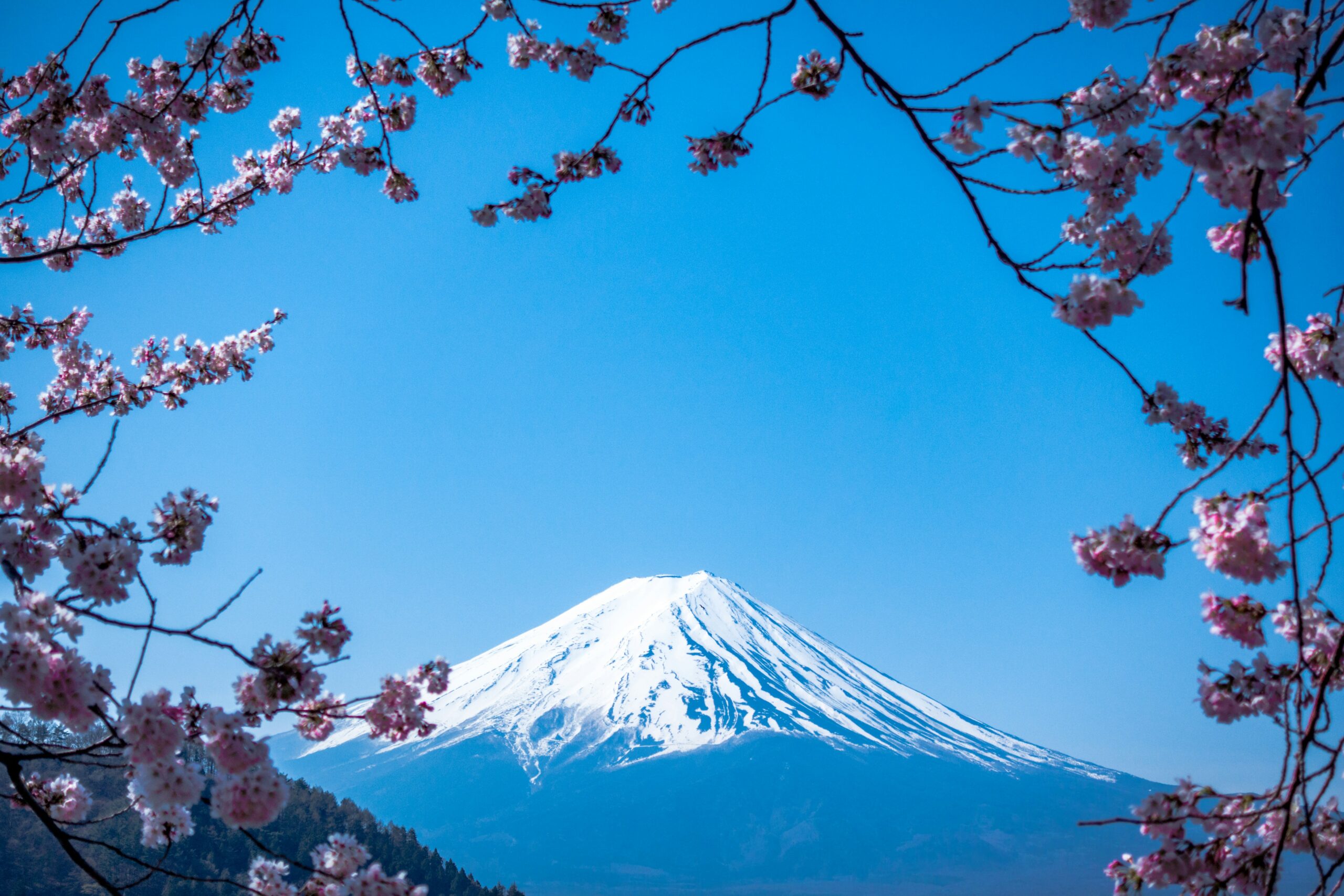 Det enklaste sättet att investera i Japan är att investera på hela den japanska aktiemarknaden genom ett brett marknadsindex. Detta kan göras till låg kostnad genom att använda ETFer.