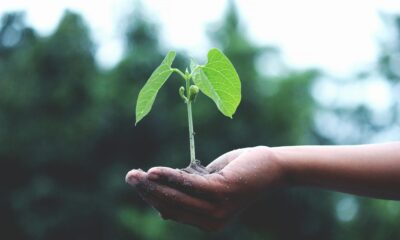 UBS ETF (IE) S&P 500 Climate Transition ESG UCITS ETF (hedged to EUR) A-acc (BCFG ETF) med ISIN IE0009WWNY77, försöker följa S&P 500® Climate Transition Base ESG (EUR Hedged)-index. S&P 500® Climate Transition Base ESG (EUR Hedged)-index följer amerikanska värdepapper. Endast företag med låga koldioxidutsläpp och högt ESG-betyg (environmental, social and governance) beaktas. Moderindexet är S&P 500®. Valutasäkrad till euro (EUR).