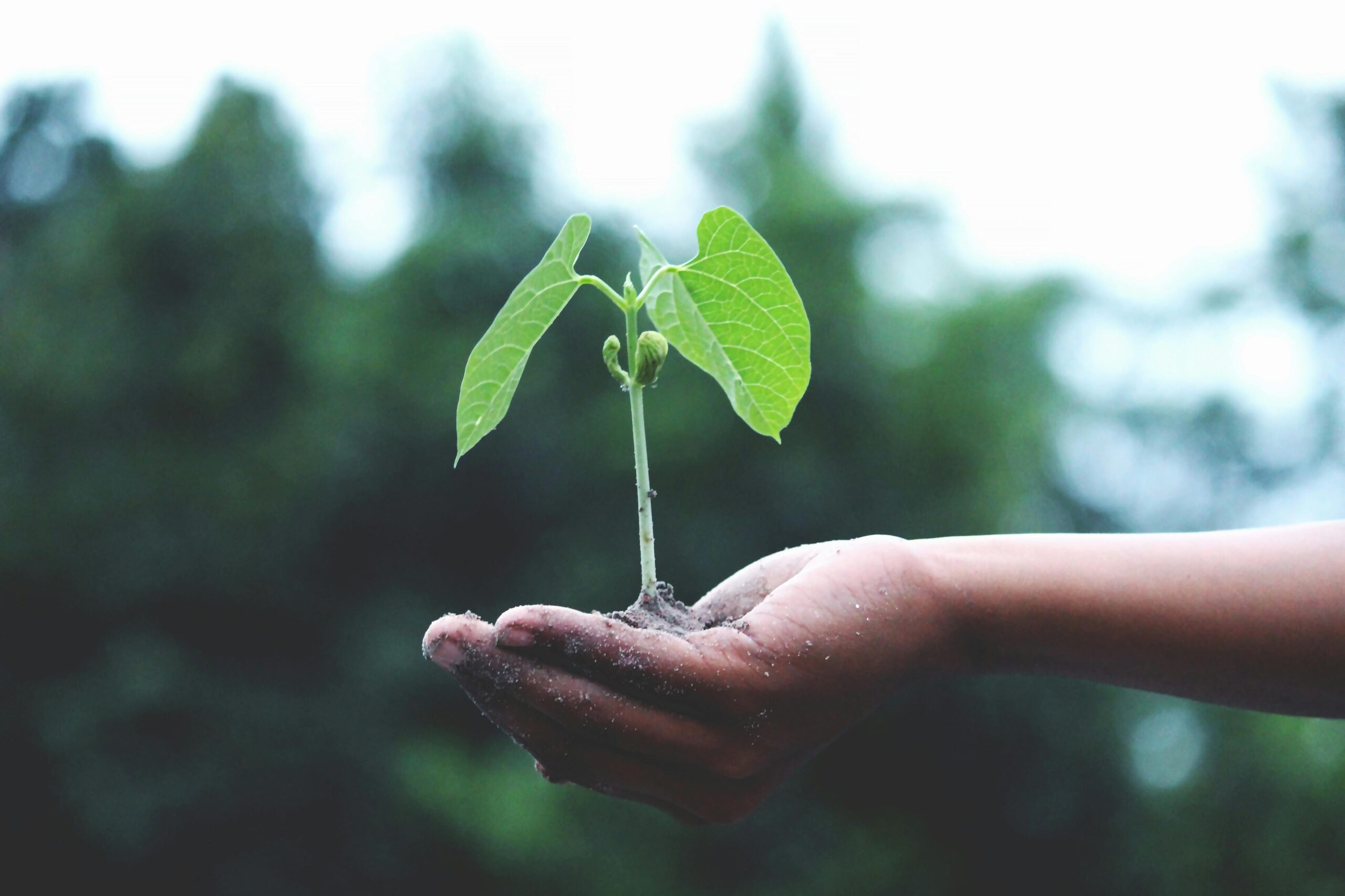 UBS ETF (IE) S&P 500 Climate Transition ESG UCITS ETF (hedged to EUR) A-acc (BCFG ETF) med ISIN IE0009WWNY77, försöker följa S&P 500® Climate Transition Base ESG (EUR Hedged)-index. S&P 500® Climate Transition Base ESG (EUR Hedged)-index följer amerikanska värdepapper. Endast företag med låga koldioxidutsläpp och högt ESG-betyg (environmental, social and governance) beaktas. Moderindexet är S&P 500®. Valutasäkrad till euro (EUR).