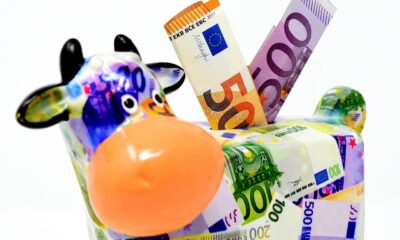 EURO STOXX® Select Dividend 30-indexet innehåller 30 aktier från euroområdet med hög direktavkastning. Urvalet baseras på historisk direktavkastning och viktningen görs genom beräknad direktavkastning. Underliggandena för EURO STOXX Select Dividend 30-index är också en del av STOXX Global Select Dividend 100-index, som innehåller aktierna med den högsta direktavkastningen i världen.