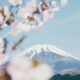 iShares MSCI Japan ESG Enhanced UCITS ETF EUR Hedged (Acc) (CEB3 ETF) med ISIN IE0002SCQ8X0, försöker följa MSCI Japan ESG Enhanced Focus (EUR Hedged)-index. MSCI Japan ESG Enhanced Focus (EUR Hedged)-index följer de största företagen från Japan. Indexet är utformat för att maximera exponeringen för positiva miljö-, sociala och styrningsfaktorer (ESG) och samtidigt minska koldioxidekvivalentexponeringen för koldioxid (CO2) och andra växthusgaser (GHG) samt minimera deras exponering för potentiella utsläppsrisker från fossila bränslen reserver. Valutasäkrad till euro (EUR).