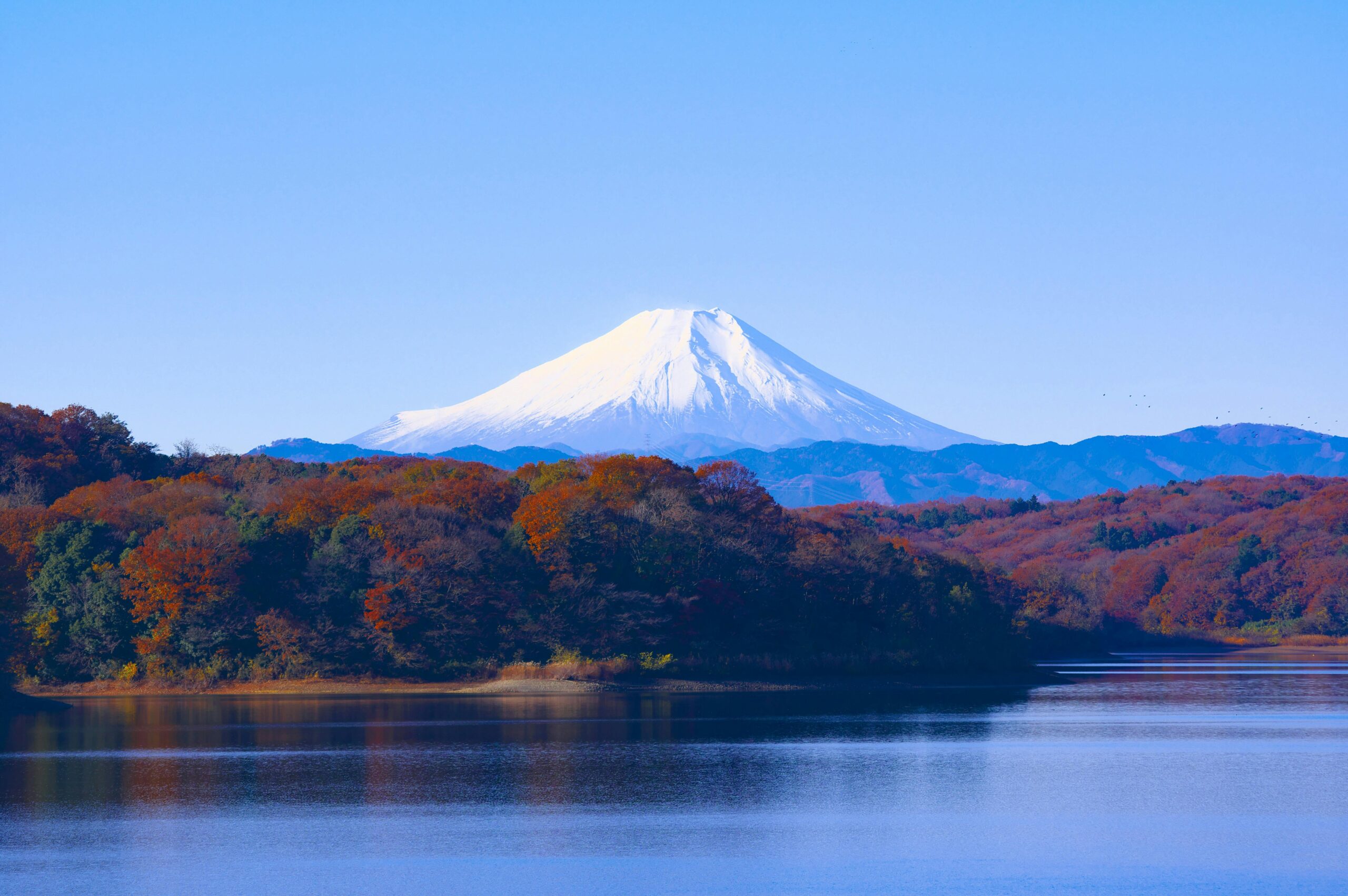 BNP Paribas Easy Sustainable Japan UCITS ETF EUR Acc (LM9E ETF) med ISIN IE000YARBD10, är en aktivt förvaltad börshandlad fond. ETFen investerar i japanska aktier. Aktierna som ingår filtreras enligt ESG-kriterier (miljö, social och bolagsstyrning).
