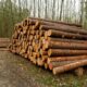 iShares Global Timber & Forestry UCITS ETF USD (Acc) (CEB9 ETF) med ISIN IE0003ZXNJY5, försöker följa S&P Global Timber&Forestry-index. S&P Global Timber&Forestry-index spårar de 25 största och mest likvida börsnoterade företagen globalt som är involverade i ägande, förvaltning eller uppströmsförsörjningskedjan av skogar och skogsmarker.
