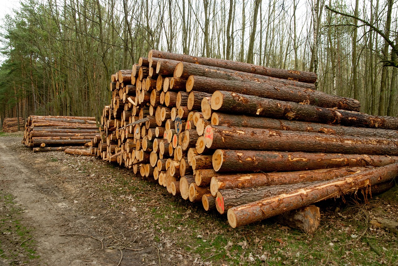 iShares Global Timber & Forestry UCITS ETF USD (Acc) (CEB9 ETF) med ISIN IE0003ZXNJY5, försöker följa S&P Global Timber&Forestry-index. S&P Global Timber&Forestry-index spårar de 25 största och mest likvida börsnoterade företagen globalt som är involverade i ägande, förvaltning eller uppströmsförsörjningskedjan av skogar och skogsmarker.
