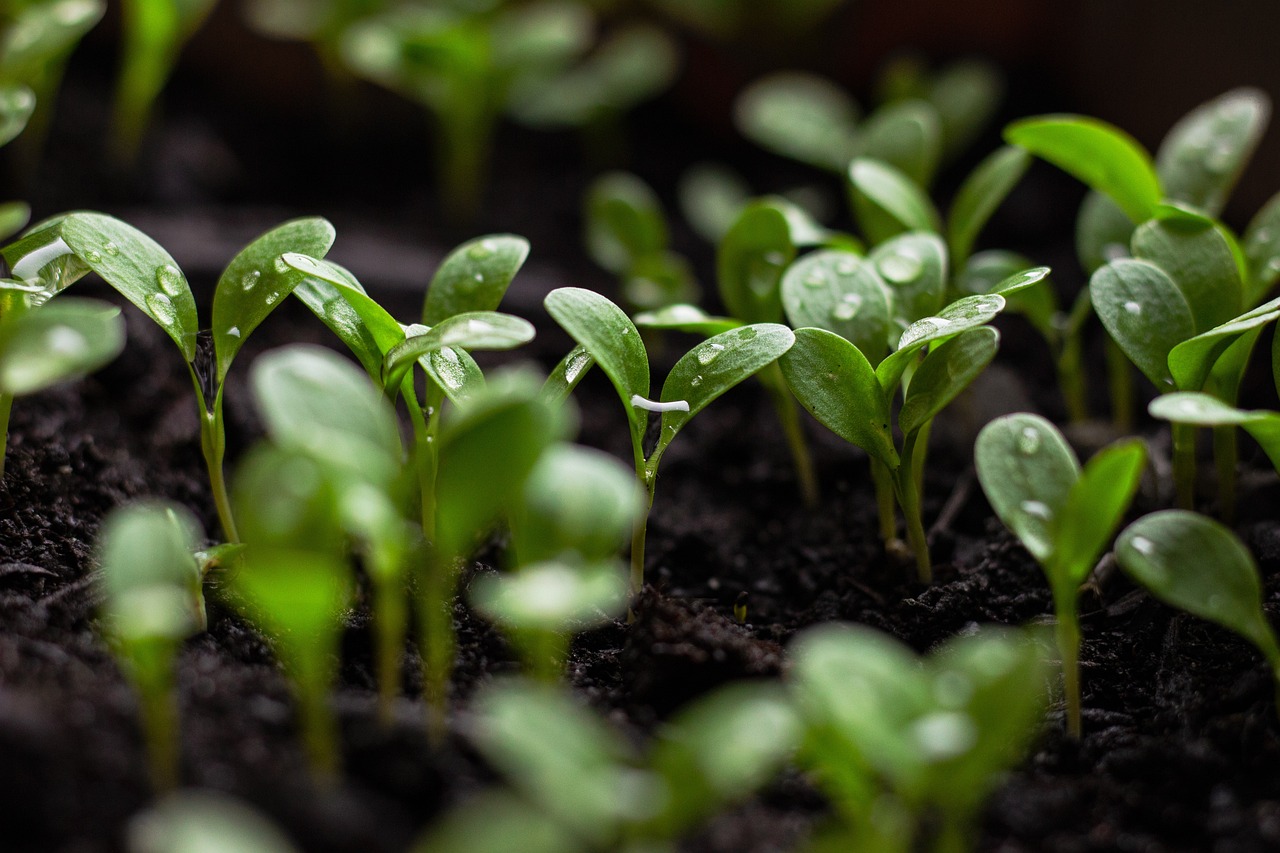 BNP Paribas Easy Sustainable World UCITS ETF EUR Capitalisation (LM9C ETF) med ISIN IE0007QB4QS2, är en aktivt förvaltad börshandlad fond.