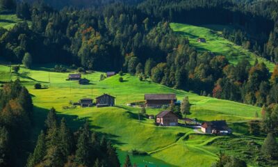 Sedan i måndags har en ny Exchange Traded Note (ETN) utgiven av Leonteq kunnat handlas via Xetra och Börse Frankfurt. Leonteq FuW Swiss 50 Index ETP erbjuder tillgång till den schweiziska aktiemarknaden. Börshandlade certifikat är räntebärande värdepapper som följer utvecklingen av ett referensindex och är helt säkerställda.