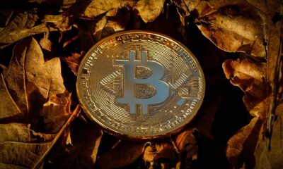 I slutet av november 2024 nådde det totala börsvärdet för kryptovalutor en imponerande $3,4 biljoner, vilket placerar den bland de största tillgångsklasserna globalt. Denna siffra överstiger börsvärdet för börsnoterade fastigheter (1,9 biljoner dollar) och breda råvaror (1,0 biljoner dollar), och konkurrerar med andra väletablerade kategorier som småföretag på tillväxtmarknader (2,8 biljoner dollar), högavkastande obligationer (2,8 biljoner dollar) och inflationsbundna obligationer (2,6 biljoner USD).