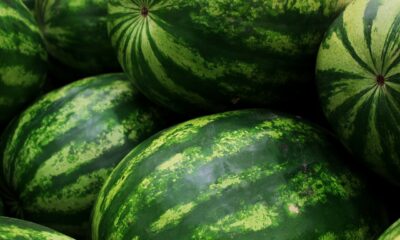 Xtrackers World Green Transition Innovators UCITS ETF 1C (GTIL ETF) med ISIN LU2859392081, är en aktivt förvaltad börshandlad fond.