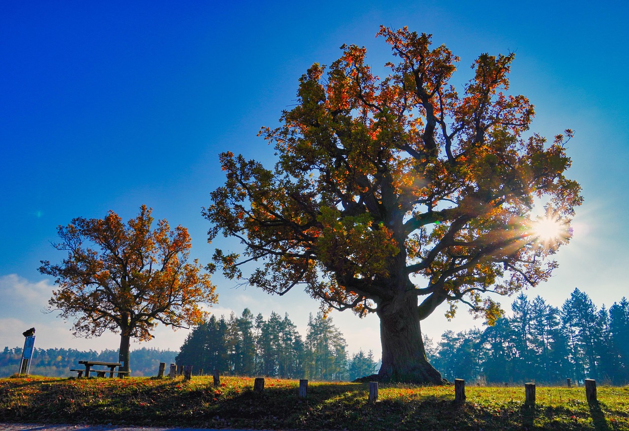 Fair Oaks AAA CLO Fund UCITS ETF USD Hedged Acc (UAAA ETF) med ISIN LU3035799587, är en aktivt förvaltad ETF.