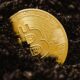 Bradley Duke, chef för Europa på Bitwise Asset Management, pratade med Stephen Gunnion från Proactive om Bitcoins återuppgång till 100 000 dollar-strecket och de krafter som driver dess momentum.