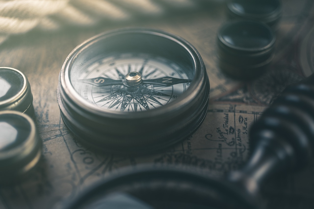 Fidelity Europe Quality Income UCITS ETF (FEUI ETF) med ISIN IE00BYSX4176, syftar till att följa Fidelity Europe Quality Income-indexet. Fidelity Europe Quality Income-indexet följer utdelningsbetalande stora och medelstora företag från Europa som har högkvalitativa fundamentala egenskaper.