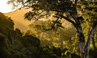 AXA IM MSCI Emerging Markets Equity PAB UCITS ETF USD Acc (AIQT ETF) med ISIN IE000GLIXPP3, försöker följa MSCI Emerging Markets Climate Paris Aligned-index. MSCI Emerging Markets Climate Paris Aligned-index spårar aktier från tillväxtmarknadsländer. Indexet syftar till att ge större vikt till företag som gynnas av omställningen till en ekonomi med lägre koldioxidutsläpp. Dessutom beaktas EUs direktiv om klimatskydd. Moderindex är MSCI Emerging Markets.
