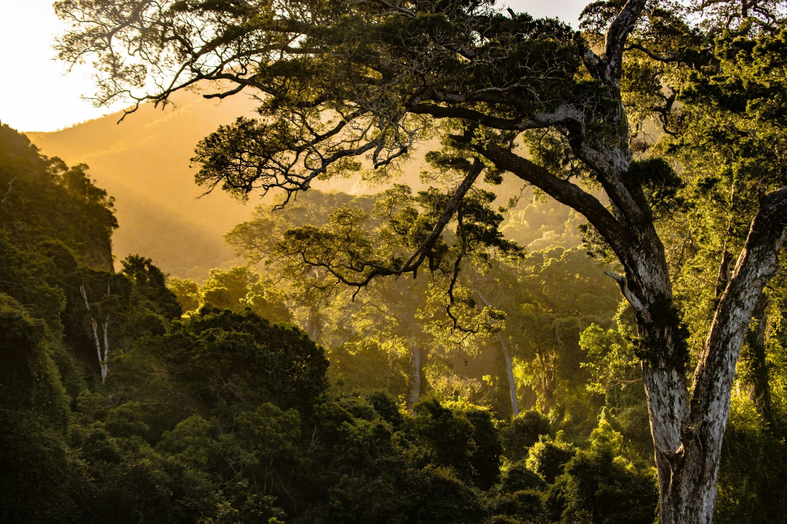 AXA IM MSCI Emerging Markets Equity PAB UCITS ETF USD Acc (AIQT ETF) med ISIN IE000GLIXPP3, försöker följa MSCI Emerging Markets Climate Paris Aligned-index. MSCI Emerging Markets Climate Paris Aligned-index spårar aktier från tillväxtmarknadsländer. Indexet syftar till att ge större vikt till företag som gynnas av omställningen till en ekonomi med lägre koldioxidutsläpp. Dessutom beaktas EUs direktiv om klimatskydd. Moderindex är MSCI Emerging Markets.