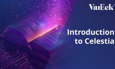 To understand Celestia's value and its role in the ecosystem, it's helpful to first understand how traditional blockchain systems are structured.