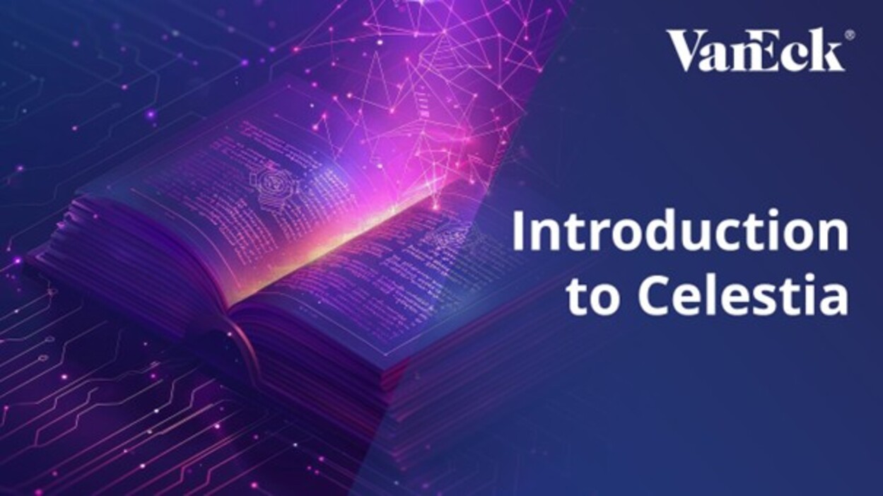 To understand Celestia's value and its role in the ecosystem, it's helpful to first understand how traditional blockchain systems are structured.