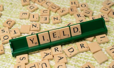 Amundi Stoxx Europe Select Dividend 30 UCITS ETF Dist (SELD ETF) med ISIN LU1812092168, strävar efter att följa STOXX® Europe Select Dividend 30-indexet. STOXX® Europe Select Dividend 30-indexet följer de 30 europeiska aktierna med högst utdelning från STOXX® Europe 600-indexet.