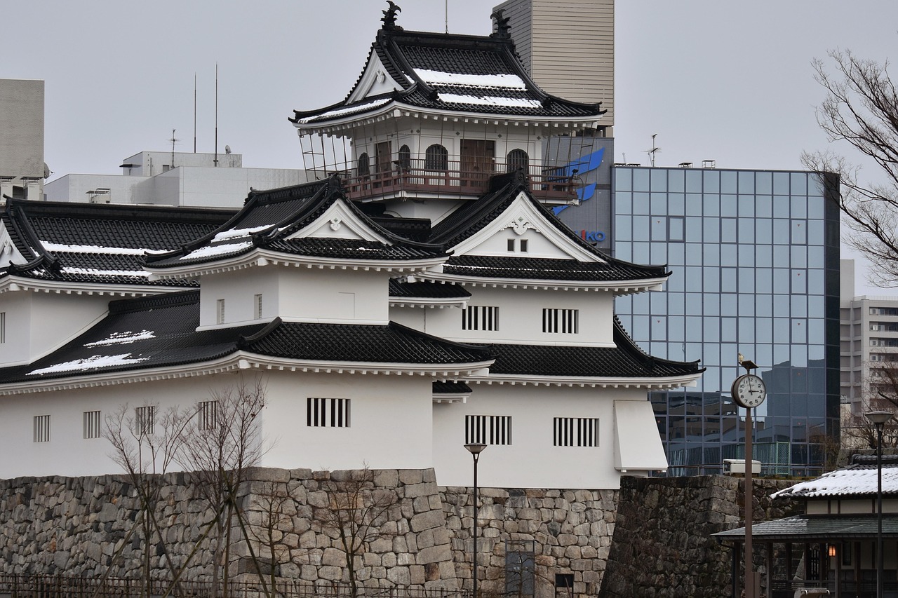 En Daimyo-obligation är en obligation denominerad i JPY som emitteras av en överstatlig enhet på den japanska utländska obligationsmarknaden.