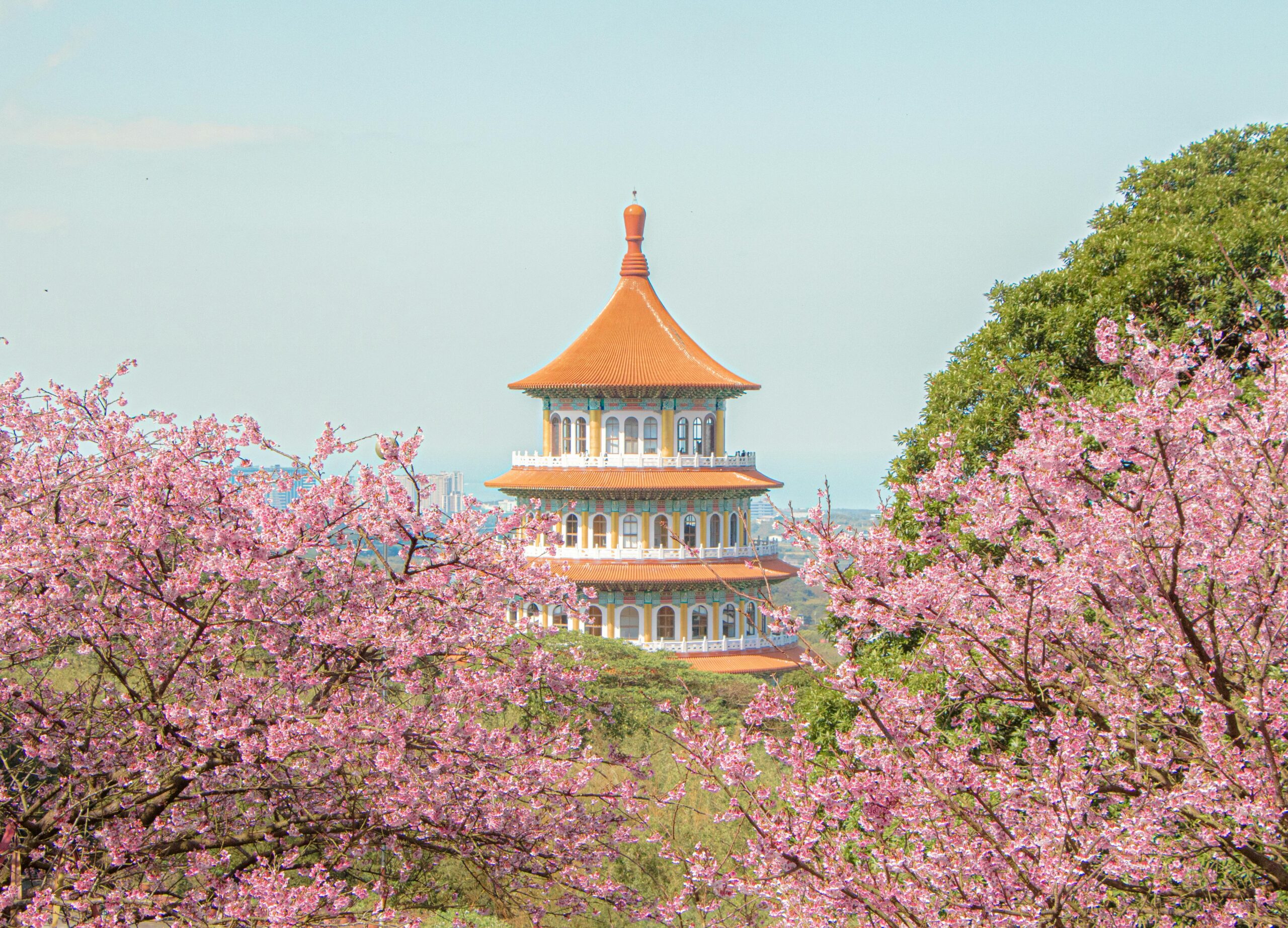 Formosaobligationer (kinesiska: 福爾摩莎債券; Pe̍h-ōe-jī: Hok-ní-mô͘-sá Chè-kǹg) är en typobligation som emitteras i Taiwan men är denominerad i en annan valuta än den nya taiwanesiska dollarn. De emitteras av taiwanesiska filialer av börsnoterade utländska finansinstitut och för att handlas måste de ha en kreditvärdighet på BBB eller högre.